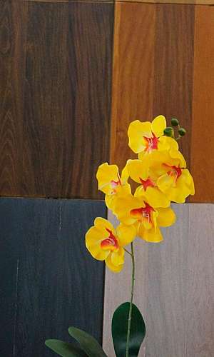 Serviços de limpeza de piso Serviços de limpeza de piso